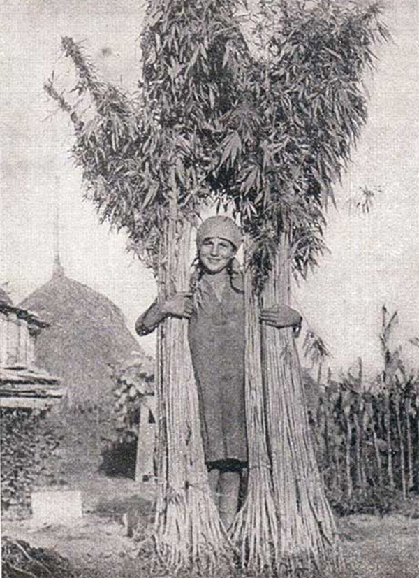 COVONI