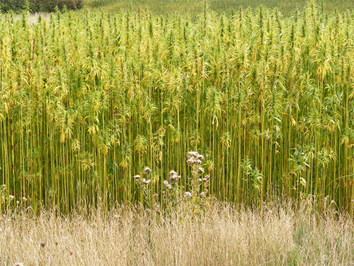 agro