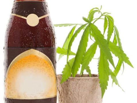 beer