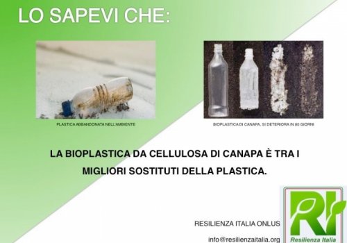 Lo sapevi che...
