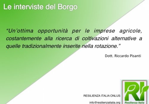Le interviste del Borgo, parte 2