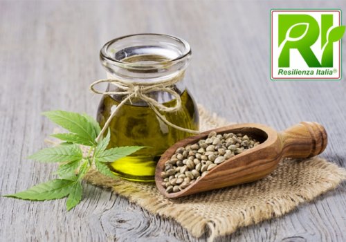 Via libera per la cannabis alimentare
